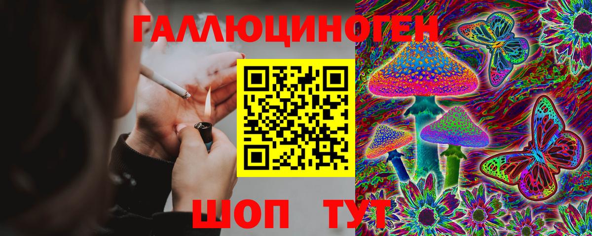 Галлюциногенные грибы прущие грибы Тара