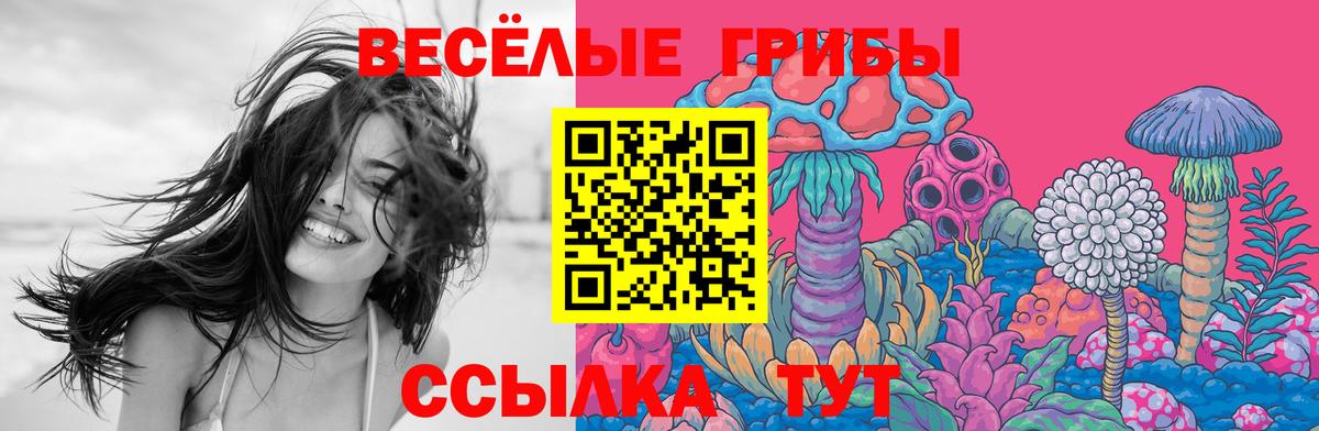 Тара  Псилоцибиновые грибы Cubensis  Вход с VPN  Галлюциногенные грибы Magic Shrooms 